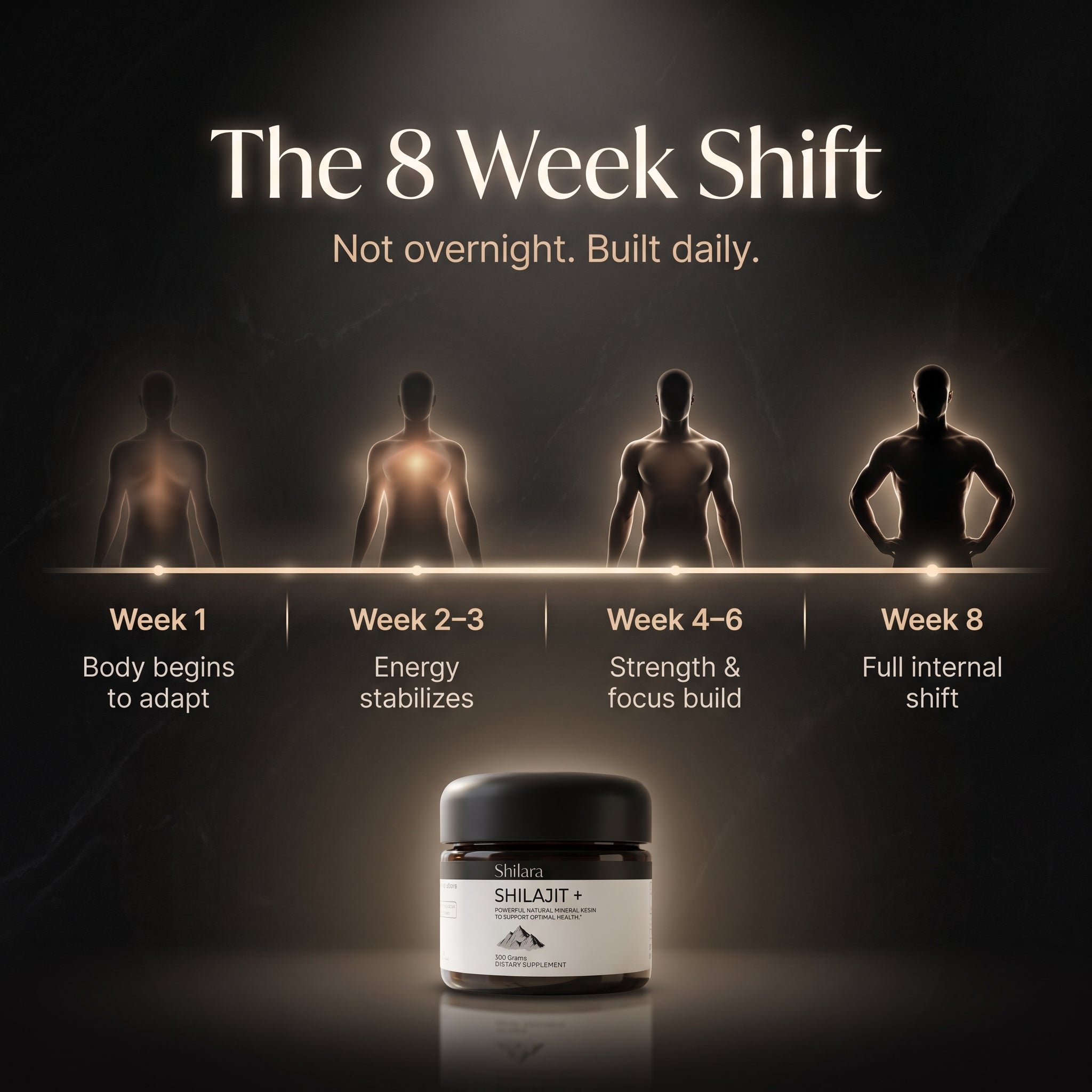 Shilara Shilajit Resin
