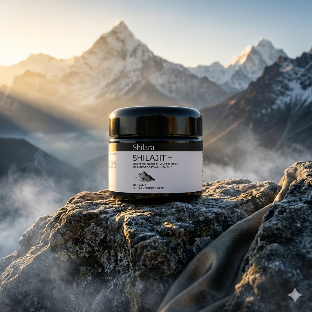 Shilara Shilajit Live Raisin