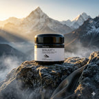 Shilara Shilajit Live Raisin